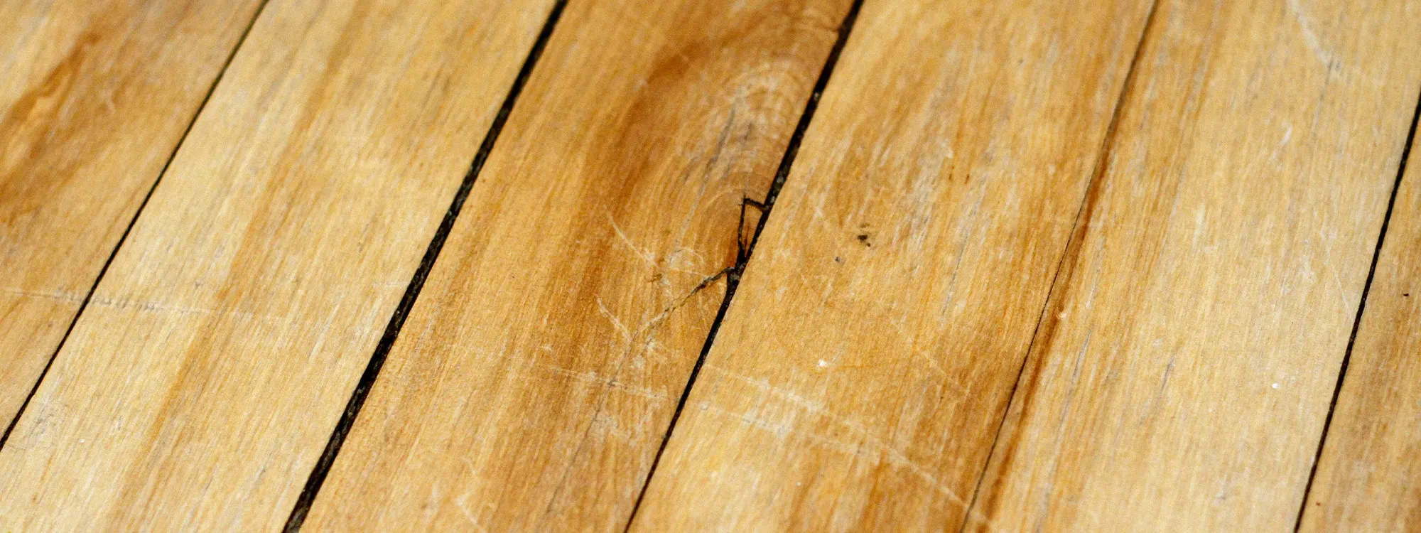 plancher verni grafigne